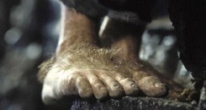 La repousse des poils selon les différentes zones du corps pied Hobbit poilu