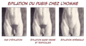 L’épilation et l’entretien du pubis chez un homme : comment procéder ? 5 méthodes privilégiées ! l'épilation du pubis chez l'homme
