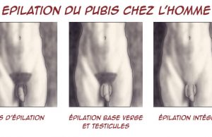 L’épilation et l’entretien du pubis chez un homme : comment procéder ? 5 méthodes privilégiées ! l'épilation du pubis chez l'homme