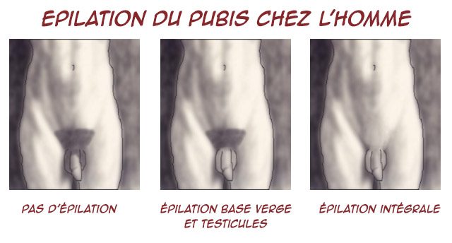 l'épilation du pubis chez l'homme